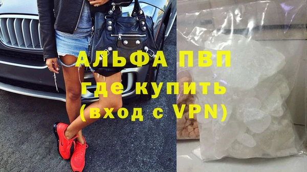 хмурый Алзамай