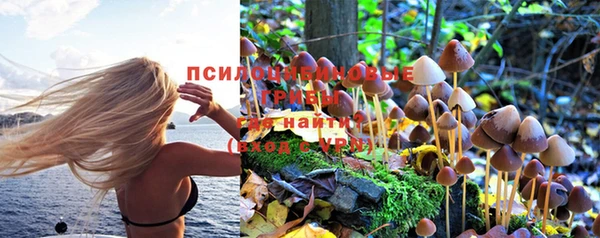 каннабис Алексеевка