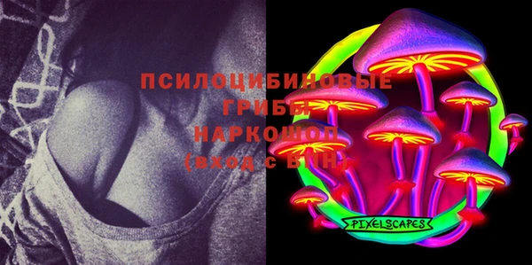 хмурый Алзамай