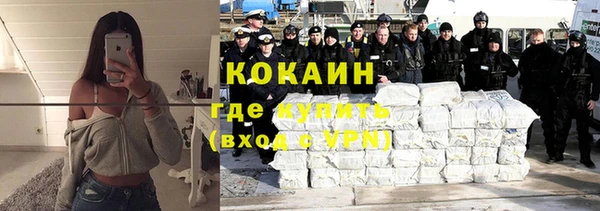 хмурый Алзамай