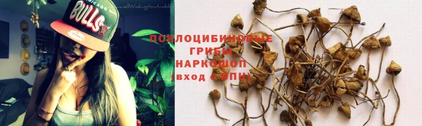 Альфа ПВП Абдулино
