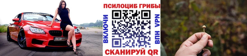ссылка на мегу tor  даркнет Telegram  Псилоцибиновые грибы прущие грибы  Чердынь 